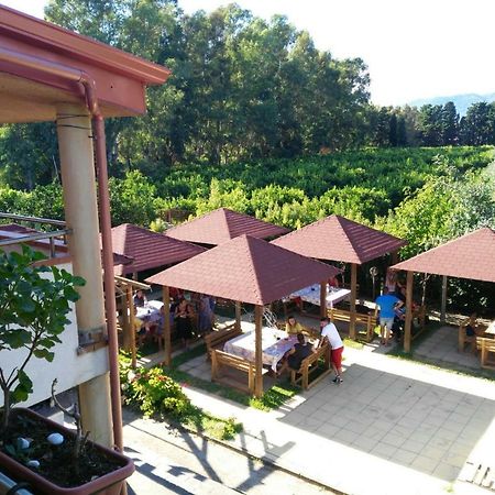 لاميزيا تيرمي B&B Pineta Mare المظهر الخارجي الصورة