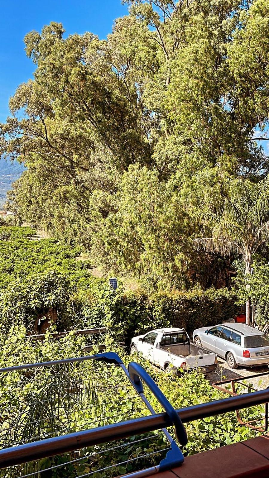 لاميزيا تيرمي B&B Pineta Mare المظهر الخارجي الصورة