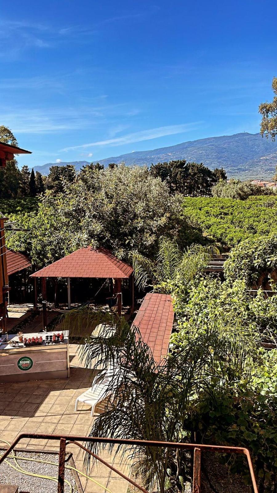 لاميزيا تيرمي B&B Pineta Mare المظهر الخارجي الصورة