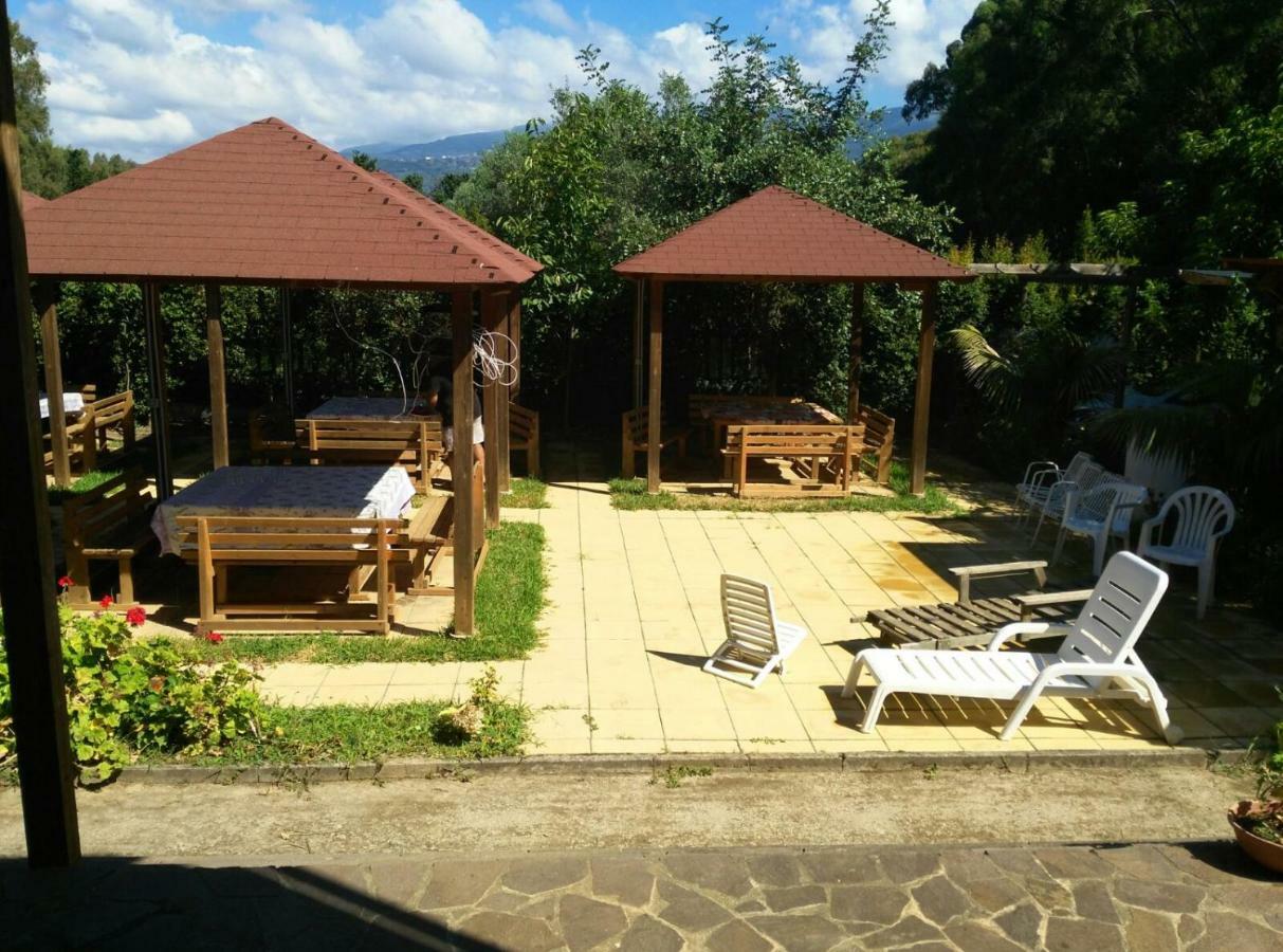 لاميزيا تيرمي B&B Pineta Mare المظهر الخارجي الصورة
