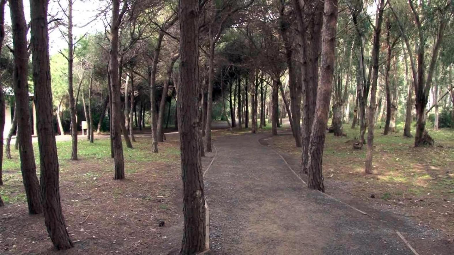 لاميزيا تيرمي B&B Pineta Mare المظهر الخارجي الصورة